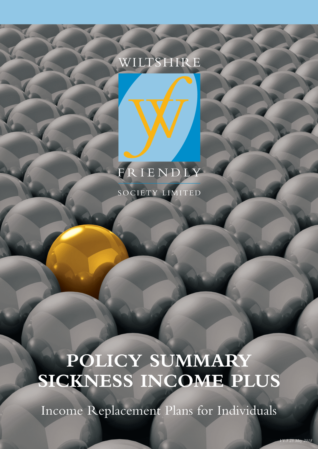 Policy Summary